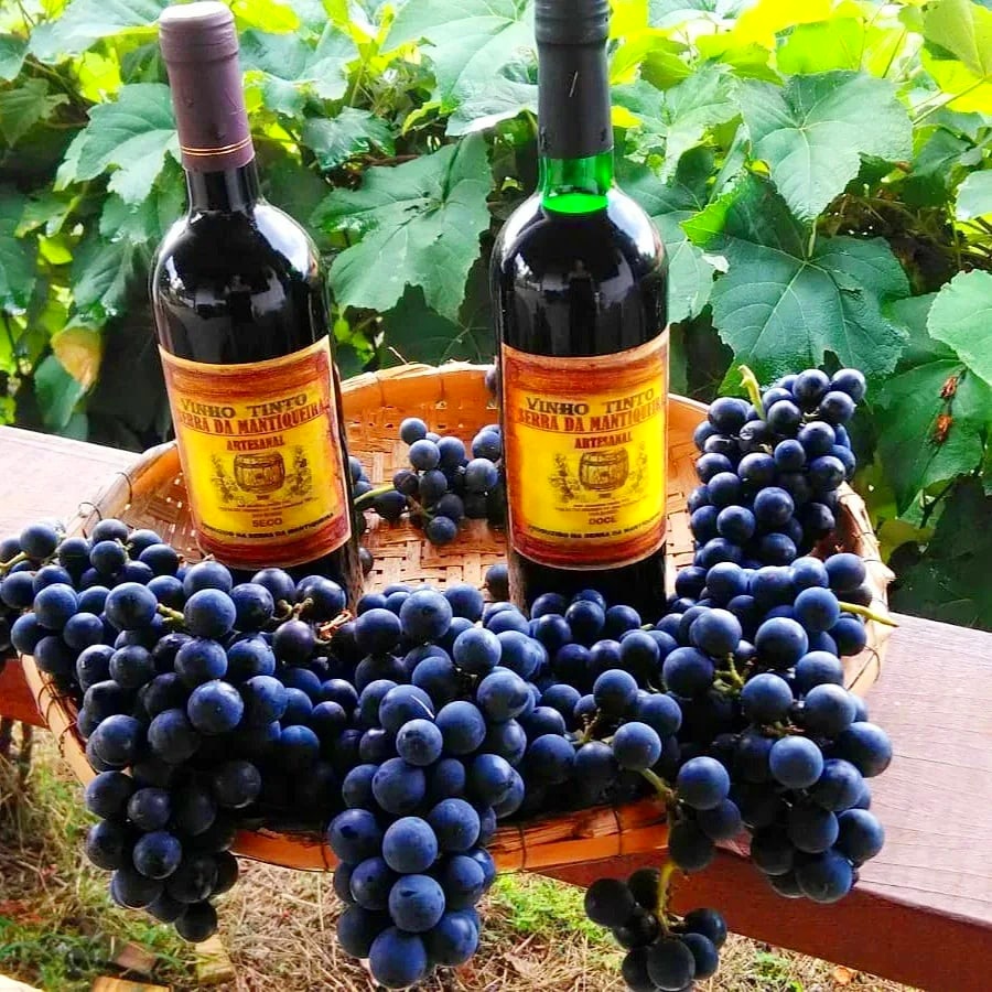 Vinho Serra Mantiqueira